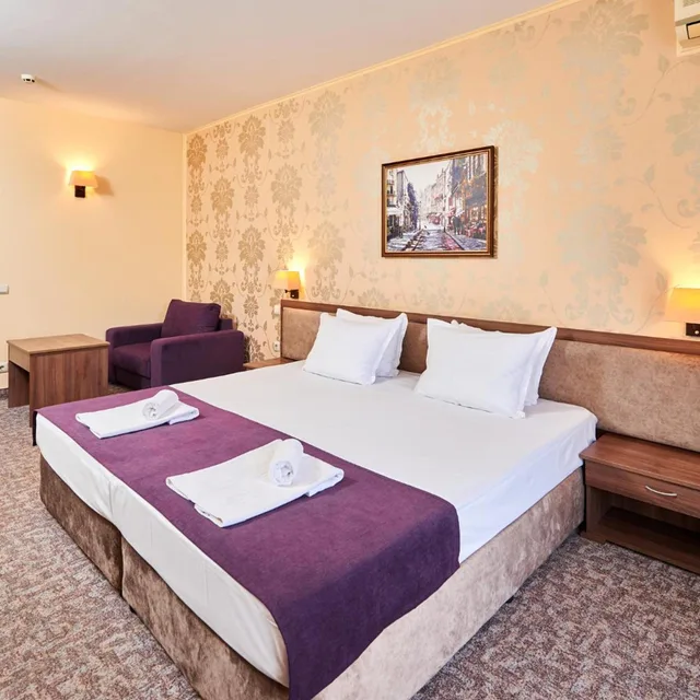 غرفة بسرير مزدوج أو سريرين منفصلين، Hotel Forum 3/10