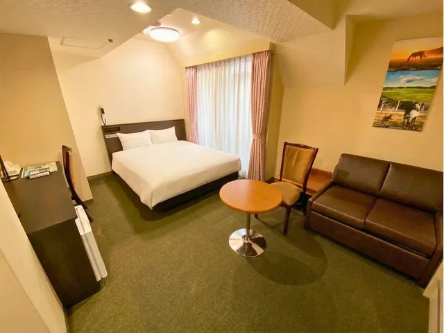 غرفة سوبيريور بسرير كوين، HOTEL CONTINENTAL 3/6