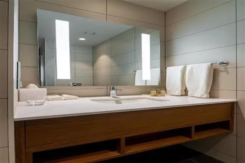 Standard Room:، Hilton Garden Inn Tbilisi Chavchavadze 1/1