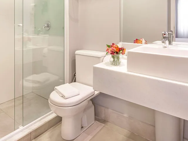 جناح جونيور بسريرين منفصلين مع أريكة، Mercure Sao Paulo Vila Olimpia 4/4
