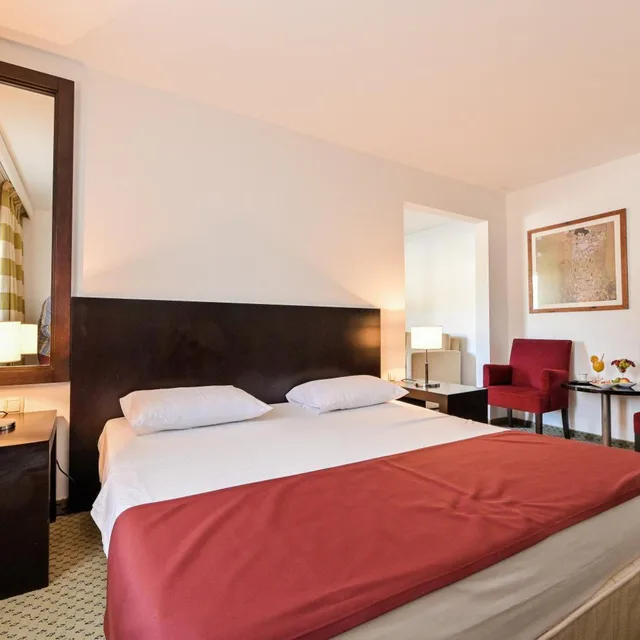 غرفة قياسية بسرير مزدوج بإطلالة على البحر، INTERNATIONAL HOTEL 2/5