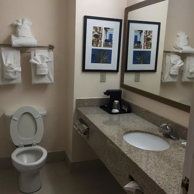 جناح بسريرين كوين لذوي الإعاقة، The Magnolia Hotel, St Augustine Downtown Historic District, FL 2/2
