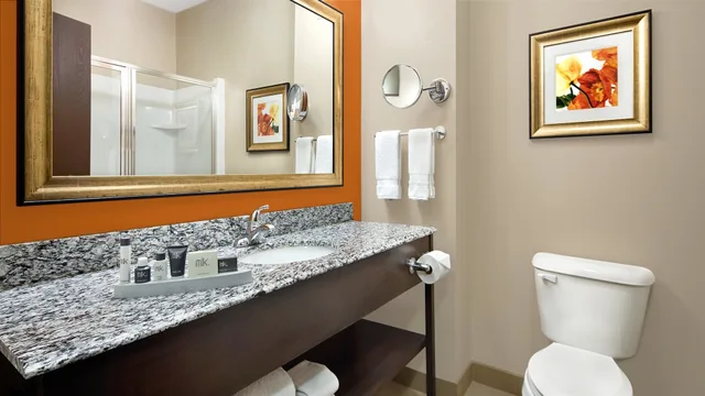 غرفة قياسية بسرير كينج بحوض استحمام لذوي الإعاقة، Best Western Plus Washington Hotel 6/7