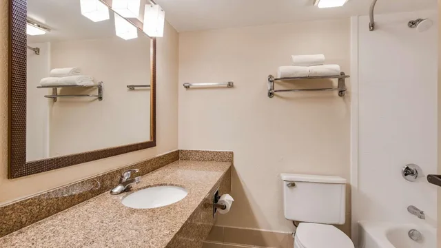 جناح بسرير كينج بغرفة نوم واحدة، Best Western Fishers Indianapolis Area 4/4