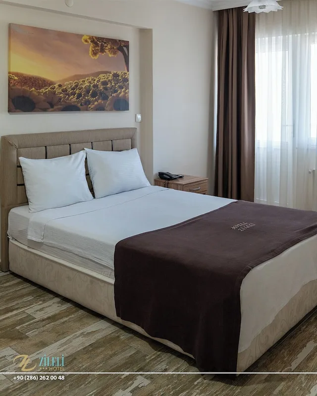 غرفة قياسية بسريرين كينج بغرفة نوم واحدة، Hotel Zileli 2/10