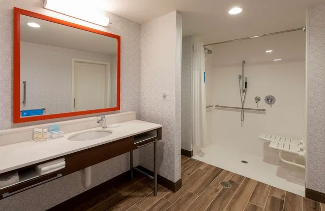 Suite, King Bed, Sofa, Accessible, Hampton Inn Eden Prairie Minneapolis Mn 4/7