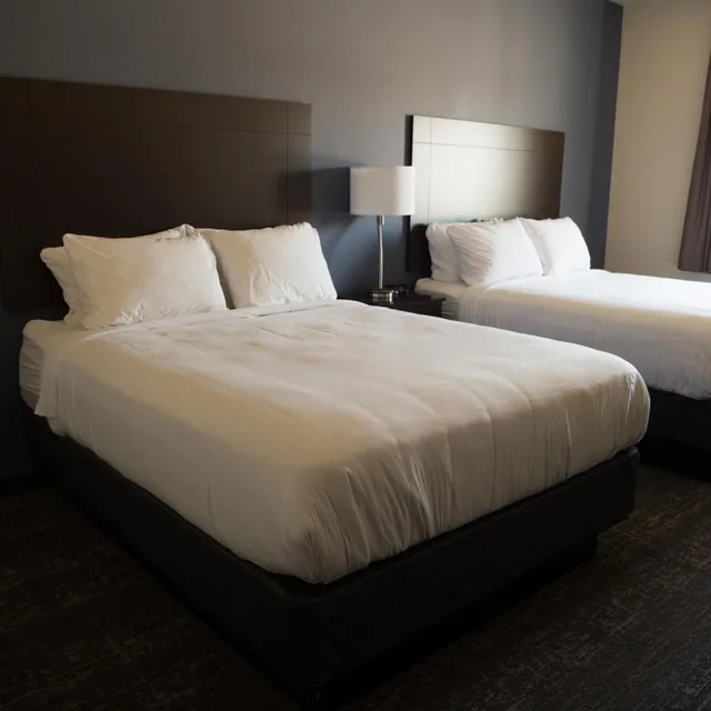 غرفة بسرير كوين لذوي الإعاقة، Cobblestone Inn & Suites - Forest City 6/10