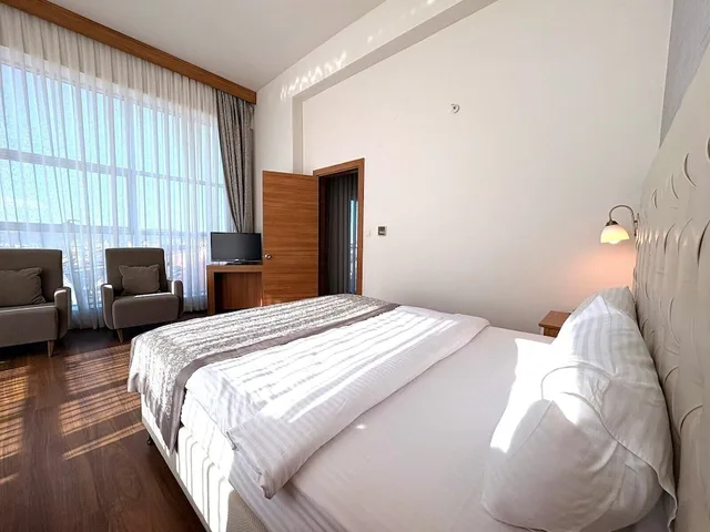 جناح جونيور بسرير مزدوج مع أريكة، Parion Hotel 1/4