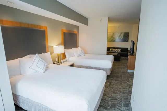 Room, Springhill Suites Winston Salem Hanes Mall 1/2