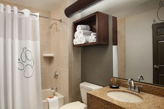 Studio, Suite, King Bed, Sofa, Great Wolf Lodge Cincinnati/Mason 4/5