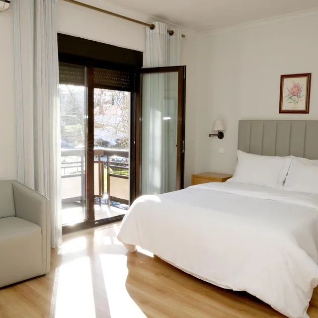 غرفة سوبيريور بسرير مزدوج، Hotel Ribadouro 1/10