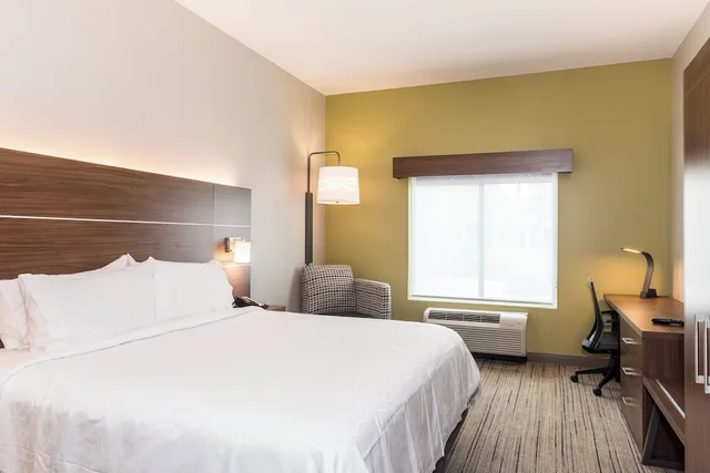 غرفة قياسية بسرير كينج، Holiday Inn Express Hotel Suites Tampa Usf Busch Gardens 2/9