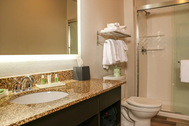 غرفة قياسية بسرير كينج لذوي الإعاقة، Holiday Inn Clarkston - Lewiston 4/9