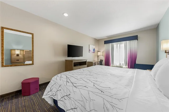 Room, King Bed, Best Western Plus San Antonio East Inn and Suites 1/4