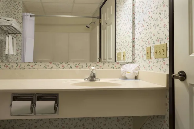غرفة قياسية بسرير كينج، Days Inn by Wyndham Grayling 1/1