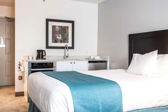 Efficiency, King Bed, Pet Friendly، Ramada By Wyndham Surrey/Langley 1/2