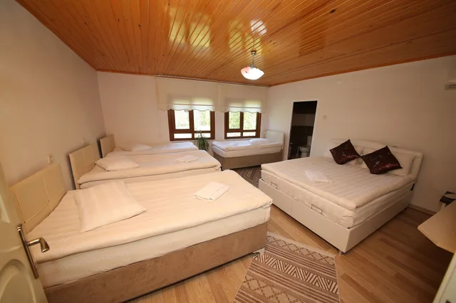 6 Bedrooms, Standard, 1 Double and 4 Single Beds، Emiroglu Konak 3/3