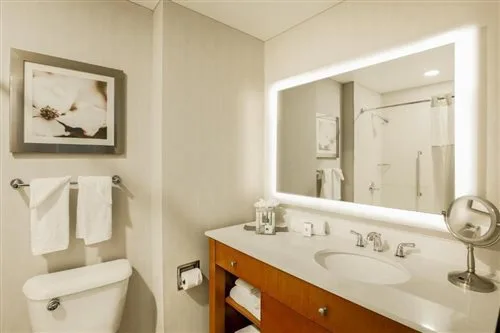 Room, King Bed, Corner, Doubletree By Hilton Hotel Atlanta Airport 1/1