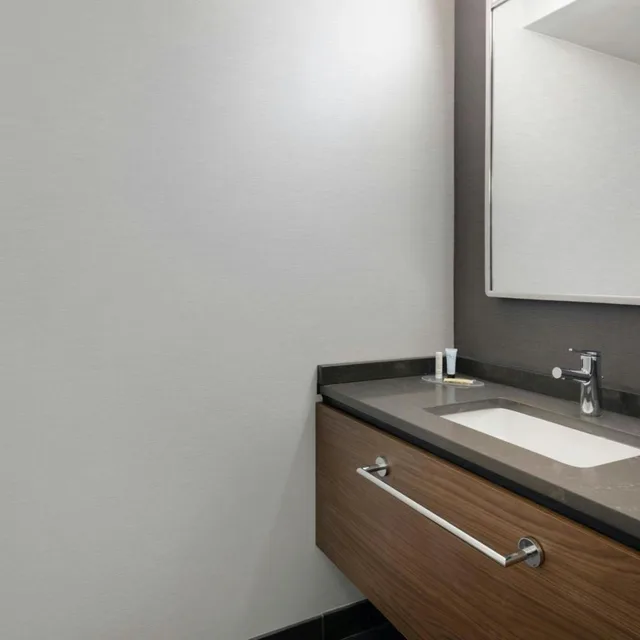 1 Bedroom, Suite, King Bed, Sofa, Balcony, Courtyard by Marriott Tampa North/I-75 Fletcher 4/4