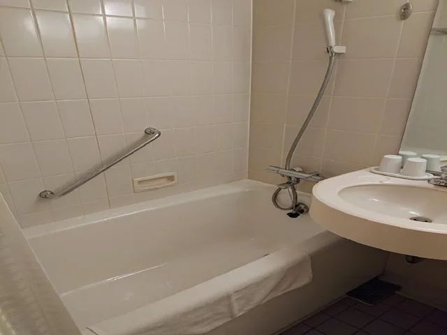 غرفة ديلوكس بسرير مزدوج بدون إطلالة، Jr Hotel Clement Tokushima 1/1