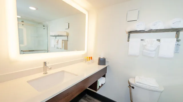 غرفة قياسية، Holiday Inn Resort Panama City Beach 1/2