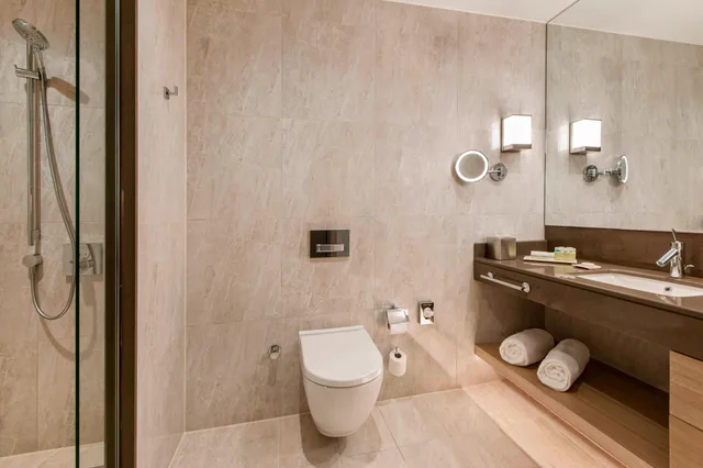 غرفة بسرير كينج بإطلالة على الحديقة، Renaissance Polat Istanbul Hotel 5/8
