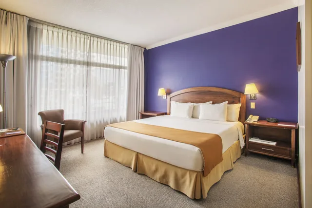غرفة بزنس بسرير كينج، Hotel Quito by Sercotel 4/9