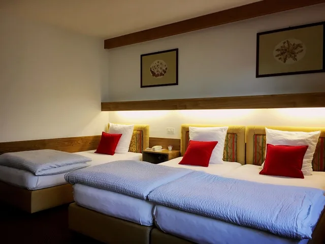 غرفة بسرير مزدوج، De La Foret Hotel 1/4