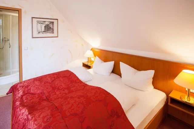 غرفة بسرير مزدوج، CENTRO HOTEL ALTER WOLF 1/4