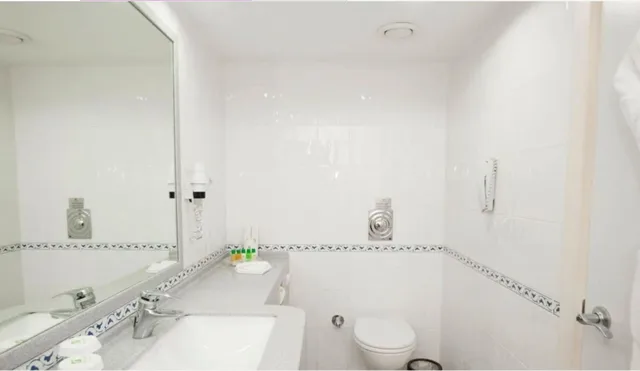 غرفة قياسية بسرير مزدوج، Holiday Inn Istanbul City 1/2