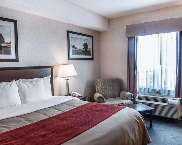 غرفة بسرير كينج، Comfort Inn Mississauga 1/10
