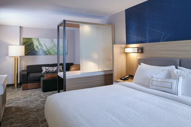 جناح بسرير كينج بإطلالة على المدينة لذوي الإعاقة، Springhill Suites Detroit Wixom 1/5