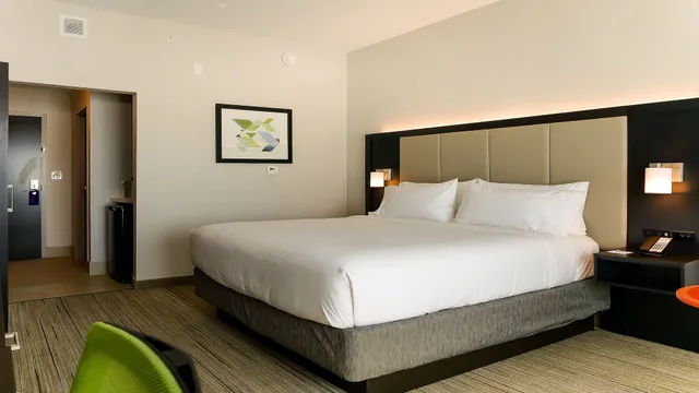 جناح بسرير كينج لذوي الإعاقة، Holiday Inn Express Suites Tampa East Ybor City 2/10