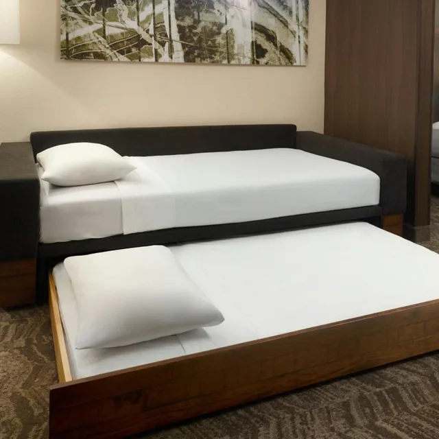 جناح بسريرين كوين مع سرير سحّاب إضافي مع أريكة، SpringHill Suites by Marriott Atlanta Six Flags 1/4