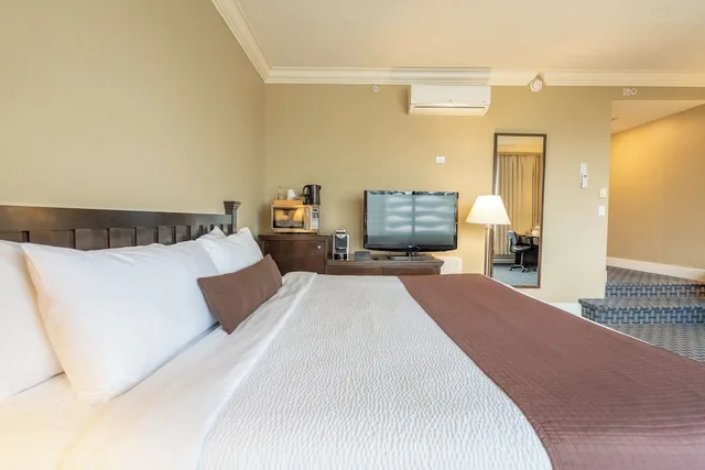 جناح استوديو بريميوم ديلوكس بسرير كينج في الطابق العلوي، Century Plaza Hotel & Spa 1/6