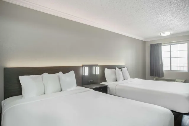 2 Queen Beds - Mob Acc RI Shwr Nsmk Micfridg، Motel6 San Antonio, TX – I-35 North Corridor 1/10