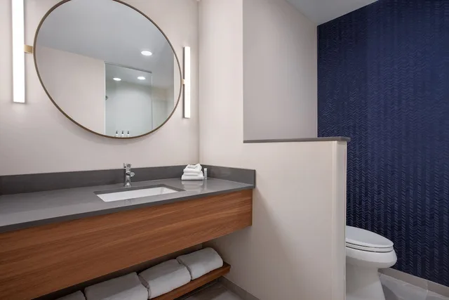 جناح بسرير كينج مع أريكة لذوي الإعاقة، Fairfield by Marriott Inn & Suites Indianapolis Plainfield 5/6