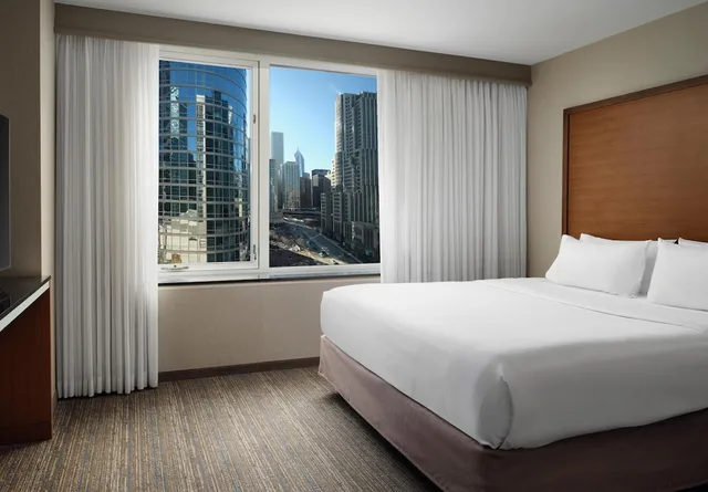 جناح أساسي بسرير كينج مع أريكة، Embassy Suites by Hilton Chicago Downtown Magnificent Mile 1/9