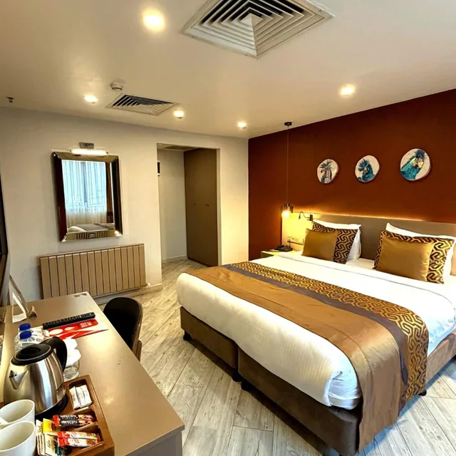 غرفة سوبيريور بسرير كينج، Ayramin Deluxe Hotel 1/4