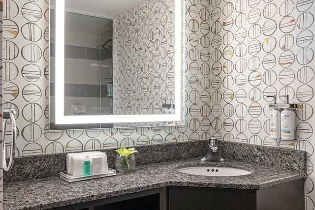 غرفة قياسية بسرير فردي، HOLIDAY INN TORONTO DOWNTOWN CENTRE 7/10