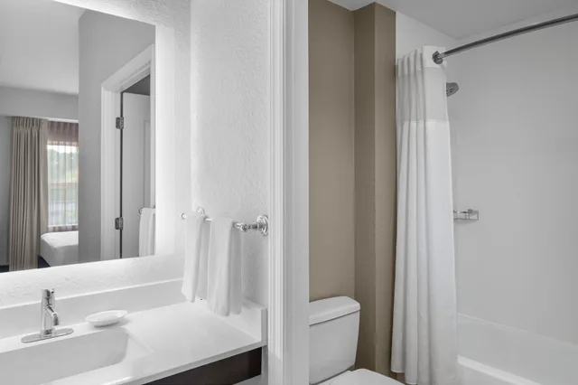 1 Bedroom, Suite, King Bed, Sofa, Accessible, Residence Inn By Marriott Tampa Oldsmar 3/3