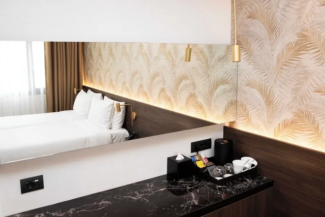 غرفة قياسية بسريرين منفصلين لذوي الإعاقة، Luwian Athens Boutique Hotel 2/4