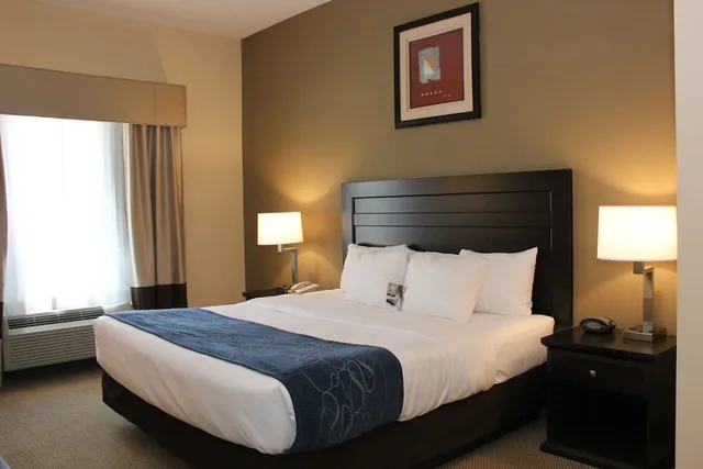 جناح بسرير كينج مع أريكة بحوض جاكوزي، Comfort Suites South Bend Near Casino 2/8
