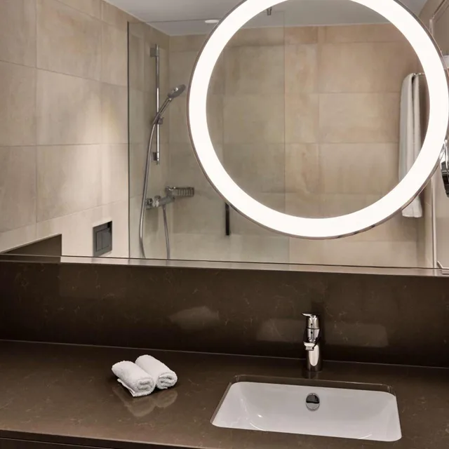 غرفة مفردة، Hilton Vienna Park 7/7