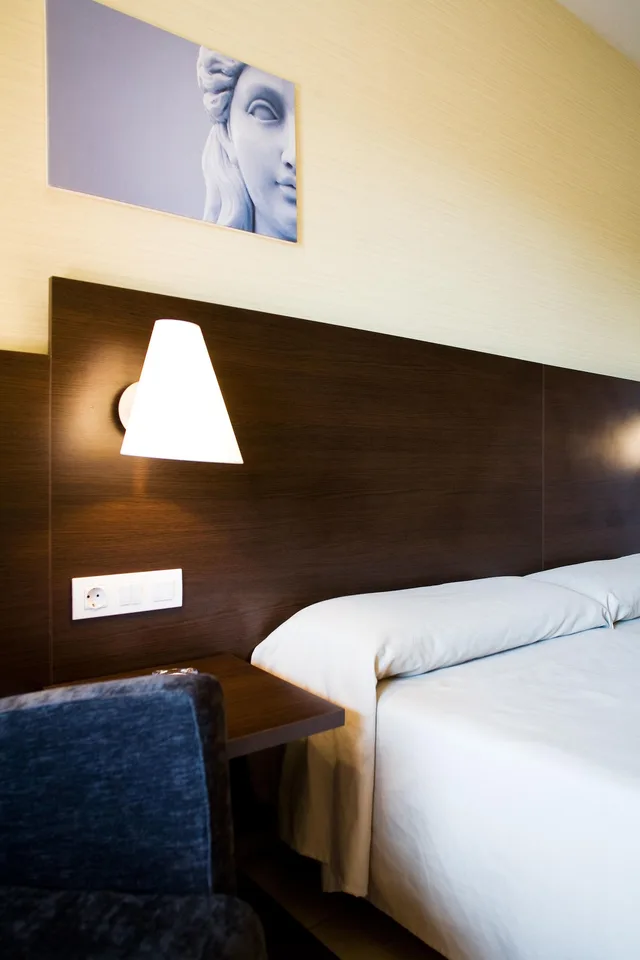 غرفة قياسية مفردة بسرير مزدوج، Canal Olimpic Hotel 6/10