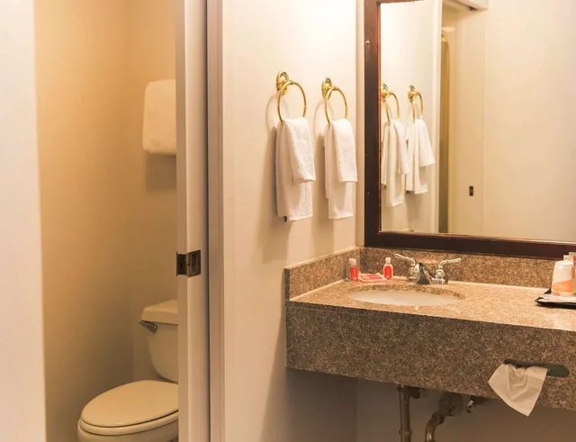 Room, Queen Bed, Accessible, Econo Lodge Harrisburg - Hershey North 1/1