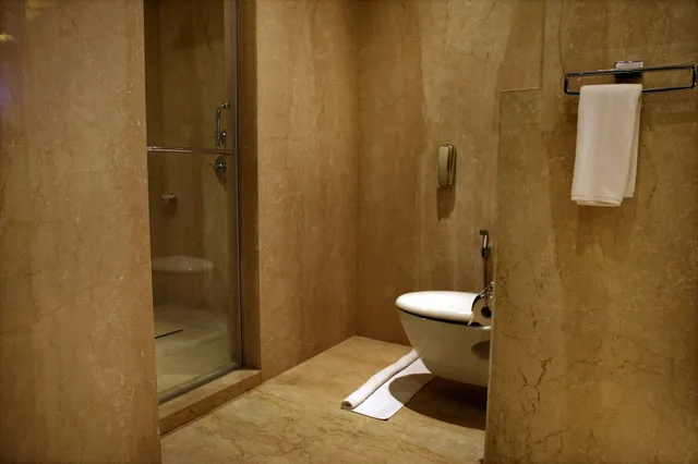 Studio, King Bed, Ramada Plaza by Wyndham Chennai 5/5