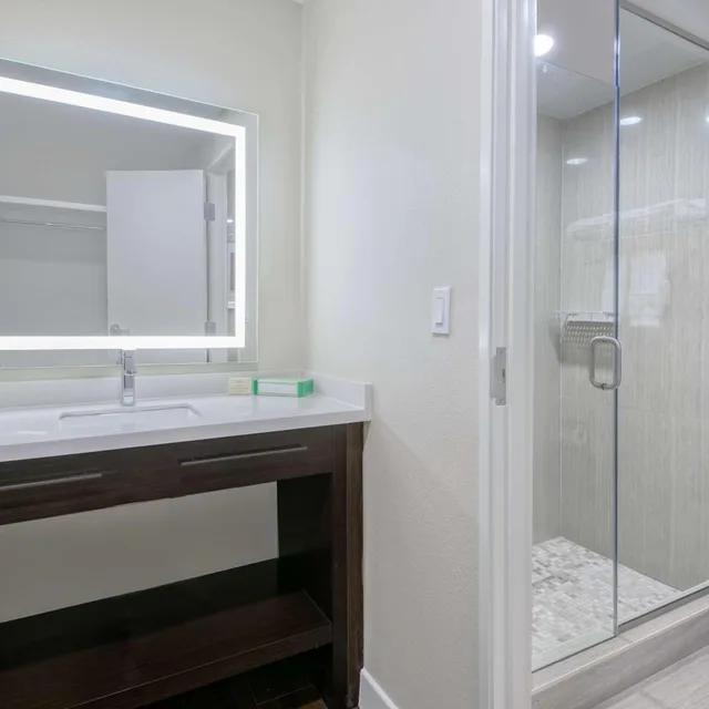 غرفة ديلوكس بسرير كينج لذوي الإعاقة، Hawthorn Suites By Wyndham Mcallen 4/4