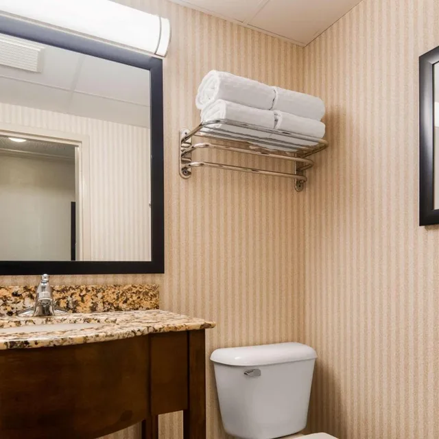 Suite, King Bed, Sofa, Best Western Plus Morristown Conference Center 5/5