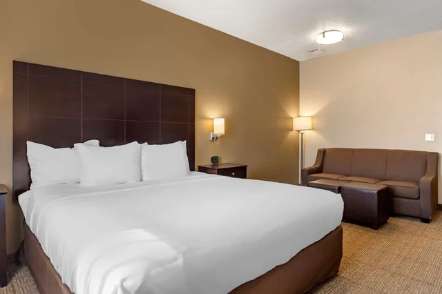 غرفة قياسية بسرير كينج مع أريكة لذوي الإعاقة، Comfort Inn And Suites Paw Paw 2/6